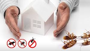 شركة تنظيف منازل ومكافحة الحشرات بالطائف